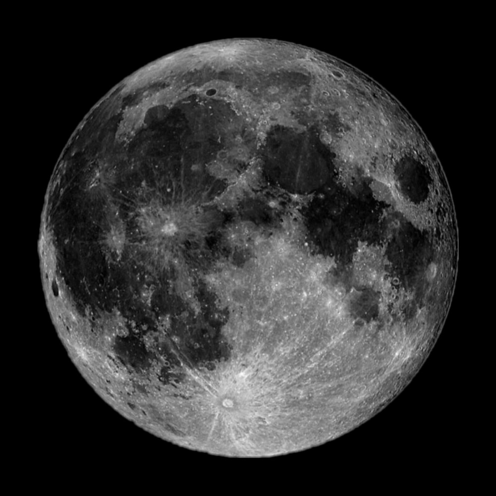 Meet your Posher, Shelby